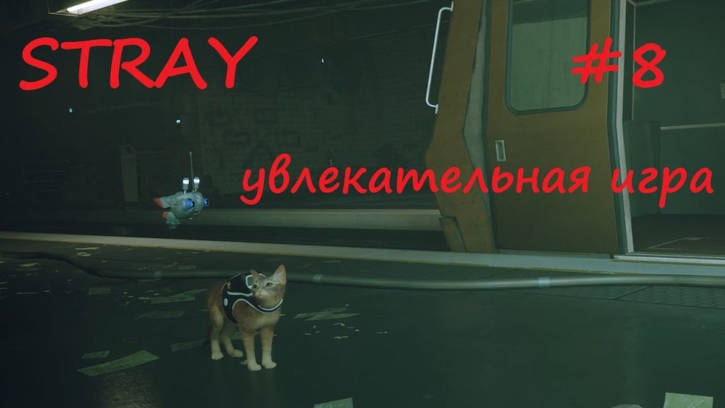 Stray: кот в Мидтауне — неон, кафе и тайны