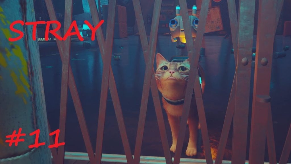 Stray: кот попадает в тюрьму после дискотеки