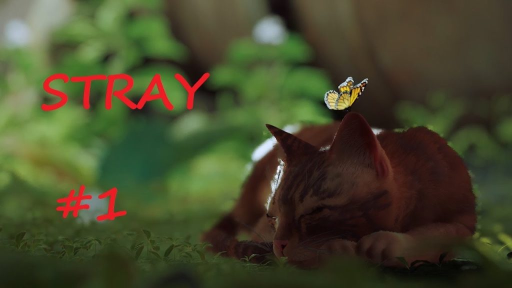 Stray прохождение — играем за кота в мире киберпанка