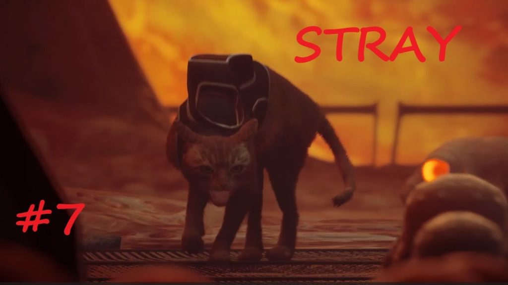 Stray: канализация, жуки и подвиг B-12