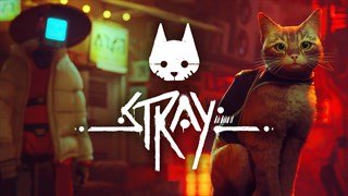 Stray — Прохождение